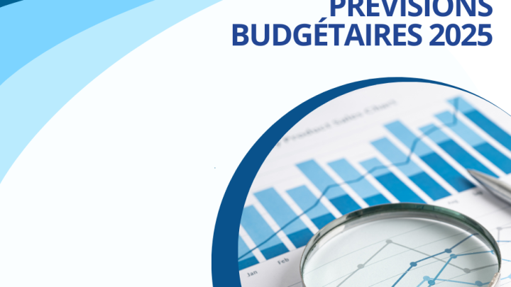 Budget 2025
