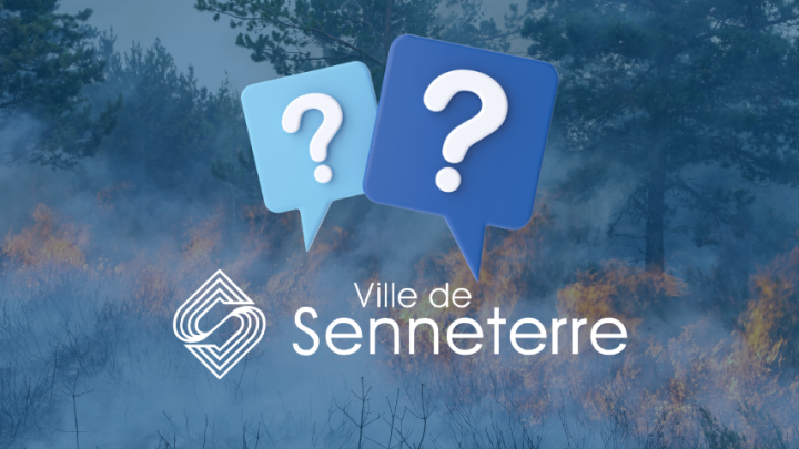 Questions/réponses - Feux de forêt