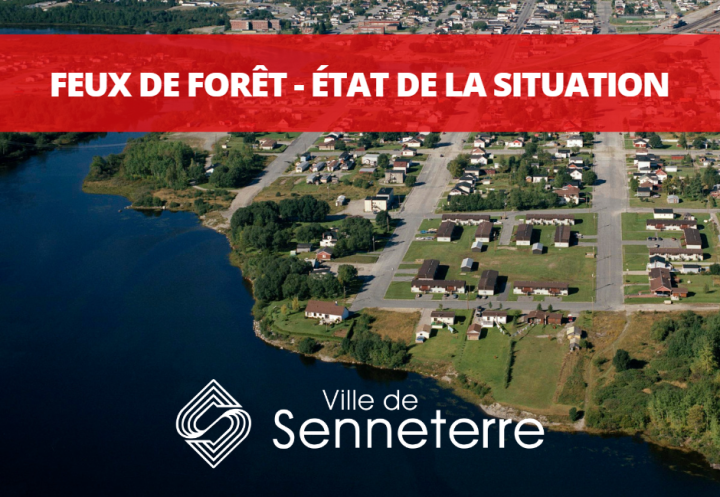 ÉTAT DE SITUATION - INFORMATIONS - FEUX DE FORÊT