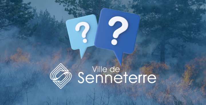 Questions/réponses - Feux de forêt