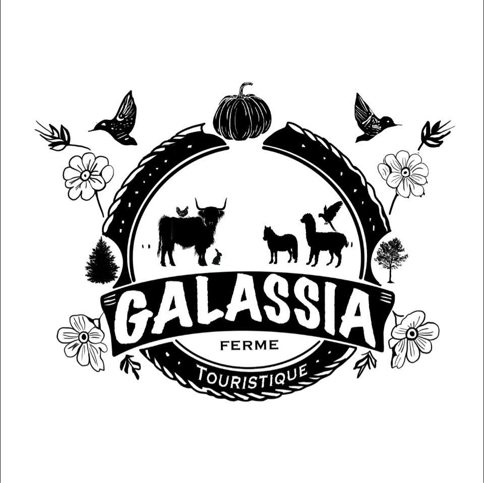 Galassia